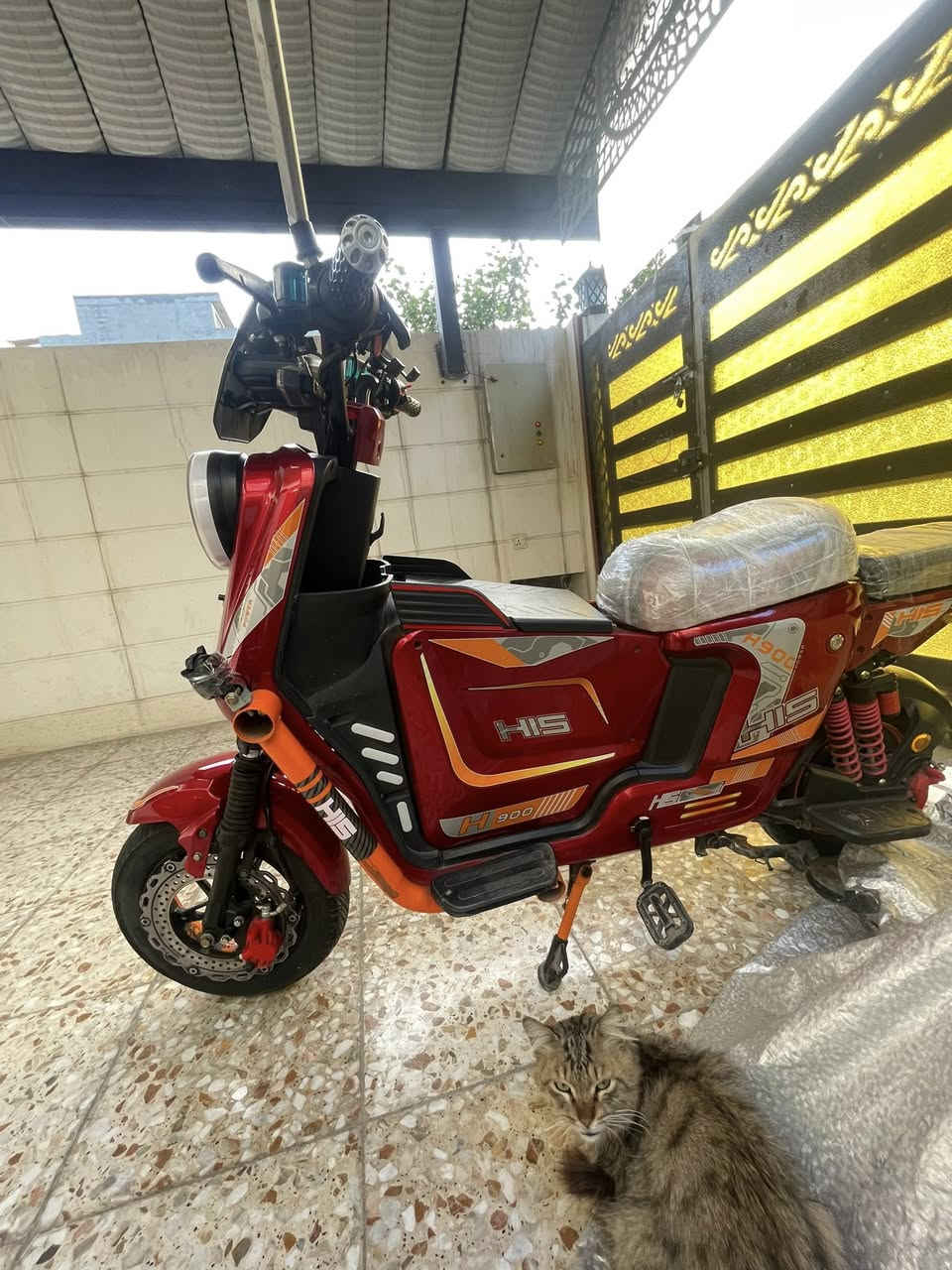 السلام عليكم شباب
دراجه شحن لبيع الدراجه كلشي ما ناقصه بس شغله صغيره الكلوب الامامي محترك اما البلوجكترات شغاله و بيه نظام بلوتوث و بيه نظام R رجوع الى خلف و بيه اربع دبلات خلفيه و بيه صندوق وصطي و يجي بريكاته عنبار و دسكات اماي خلفي و تجي اربع سرع العنوان بغداد العامريه شارع المنظمه الرقم ***********
