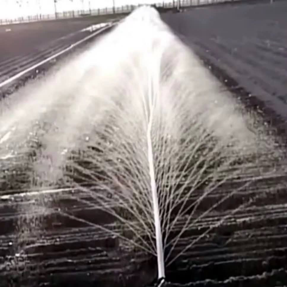 مرشات مطرية مداها الافتراضي من ٣ الى ٣ ونصف متر من كل جانب
تستخدم لزراعة الحنطة والشعير والجن والبرسيم وغيرها ١٠٠ متر واحد انج سعرها ٢٥ الف و٢ انج ١٠٠ متر ٢٧ الف تتوفر كل القياسات إلى الف متر
***********
*********** أربيل, العراق
