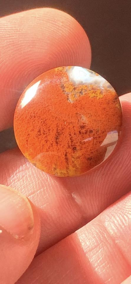 شجرية طحلبية حمرة روعة .. السعر مناسب


**إذا كنت صاحب هذا الإعلان وتريد حذفه لأي سبب، رجاءا أرسل رسالة إلى الدعم الفني**