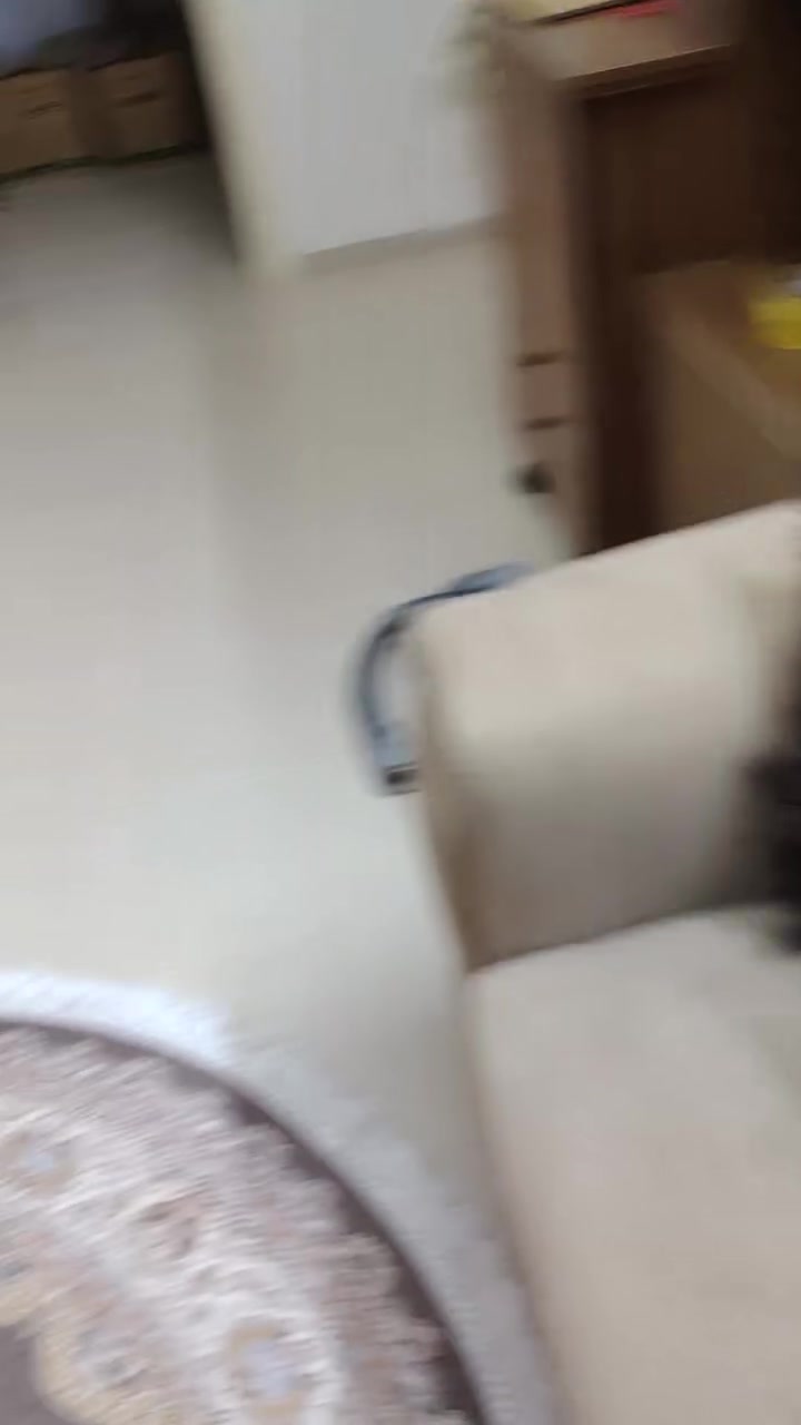 غراض للبيع استعمال قليل شاشه حجم ٢٤ مع الميز ١٧٥ الف فول مواصفات وشاشه حجم ٣٢ فول مواصفات شغاله انترنت السعر ١٢٥وثريات ٣ سعر الوحدة ٥٠ ألف وتيبلام السعر ١٥ الف وميز وسطي السعر ٧٥ وبي مجال


**إذا كنت صاحب هذا الإعلان وتريد حذفه لأي سبب، رجاءا أرسل رسالة إلى الدعم الفني**