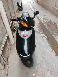 سبيسي • ياباني • أوراق كاملة