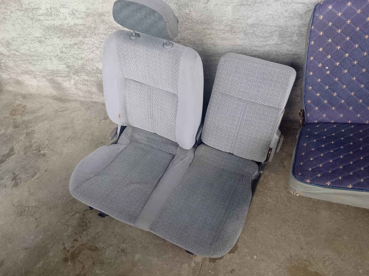 تخم كشنات مال بريجو للبيع***********،
