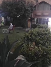 البكرلي • ٦٥٠م • مشتمل