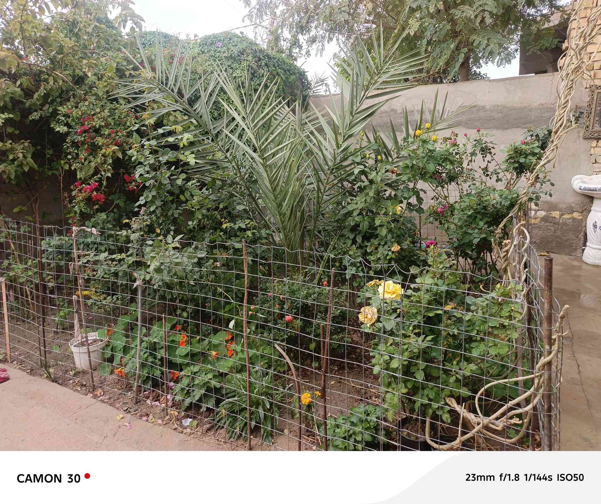 دار للبيع المساحة 200 متر الشارع 8 متر بناء طابوق للاستفسار اتصل على ***********
***********
