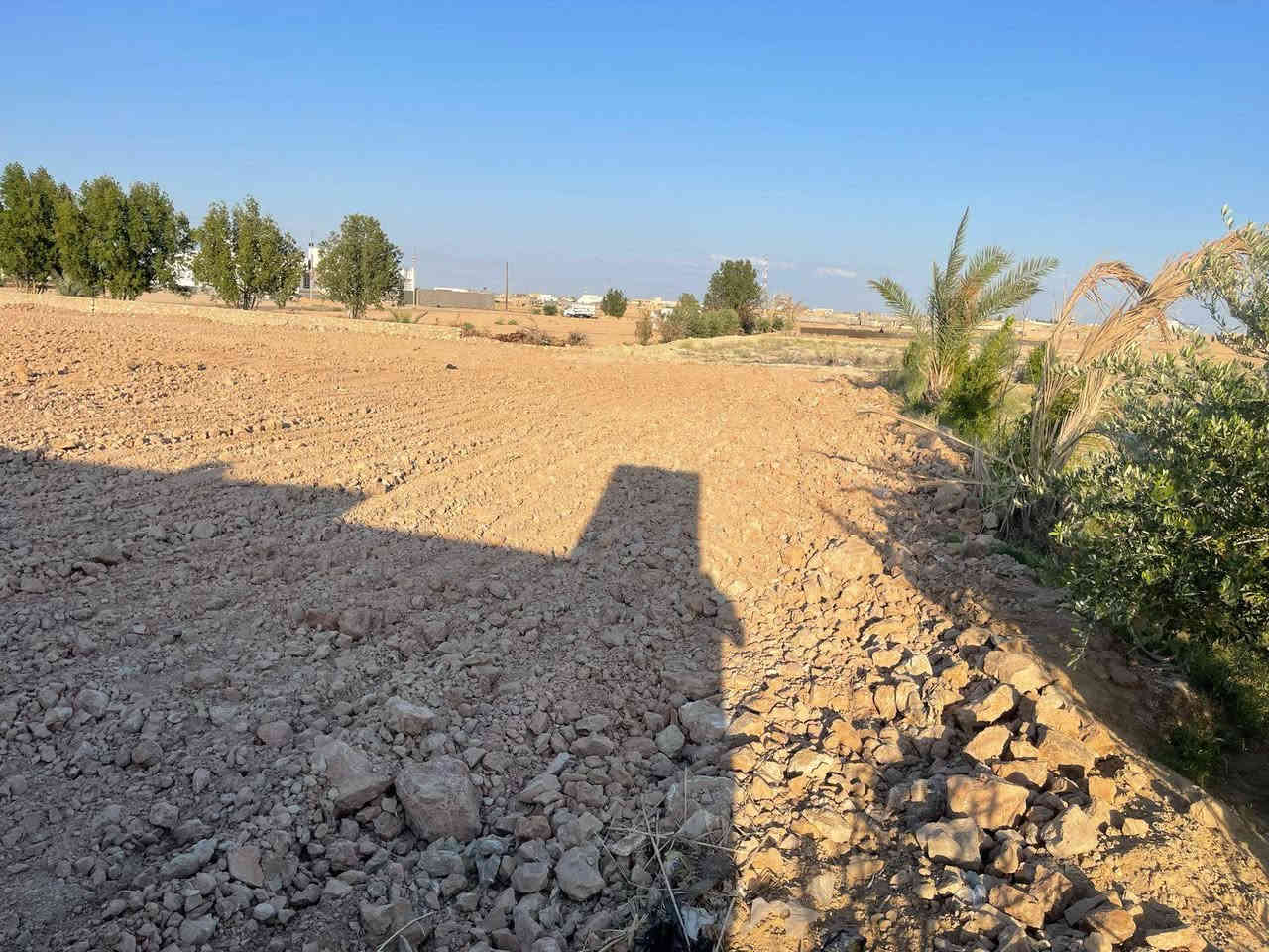 قطعة أرض سكنية للبيع
المساحة ٢٠٠٠ متر
الموقع ناحية اليرموك زنكورة قرب محطة ستار چياد
تقع على شارع ١٠ متر
منطقة سكنية متوفر جميع الخدمات
الأرض مدفونه وجاهزه للبناء والسكن
الأرض واقع حال لزمة مكفولة من اي مشكلة عشائرية 
للإستفسار الاتصال على الأرقام التالية
*********** واتساب
*********** واتساب
او مراسلة الصفحة في اي وقت نعتذر عن التأخير عن الرد في بعض الأحيان
نستقبل جميع العروض العقارية في مدينة الرمادي
ابو احمد
