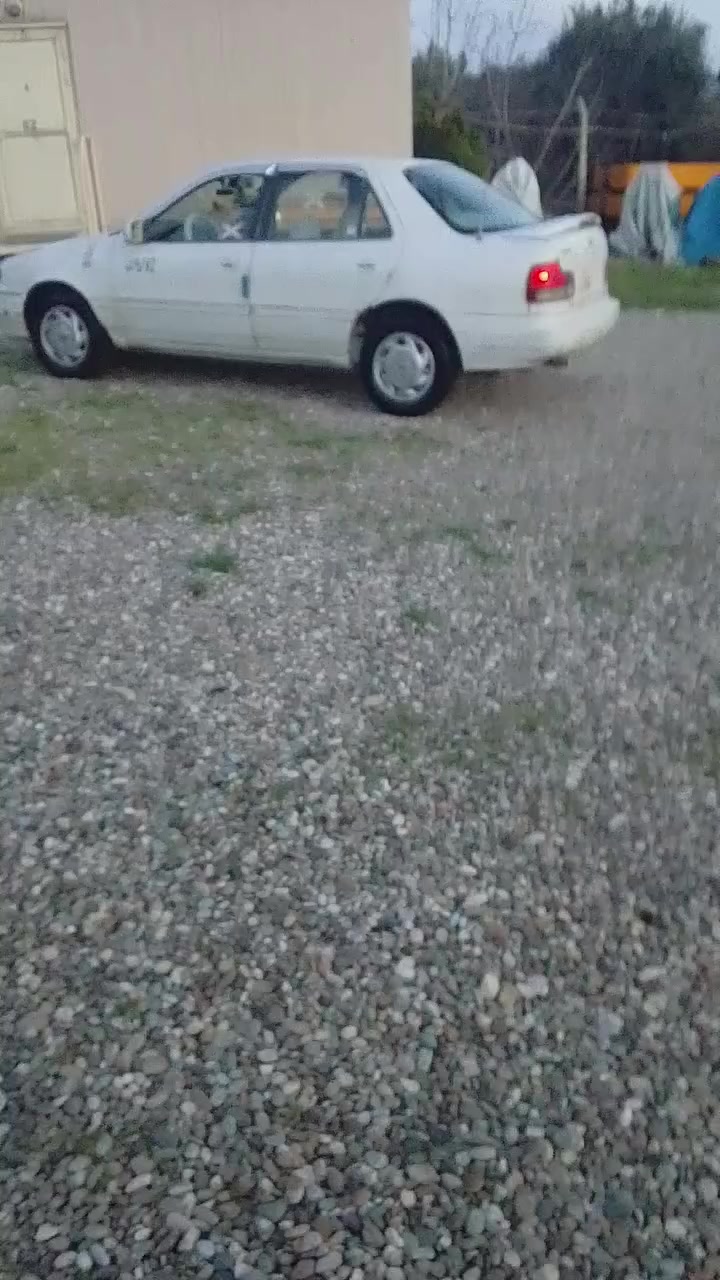 سلام عليكم النترة 93دمعة السعر 38مكرك جديد دواخل جديدة ***********
