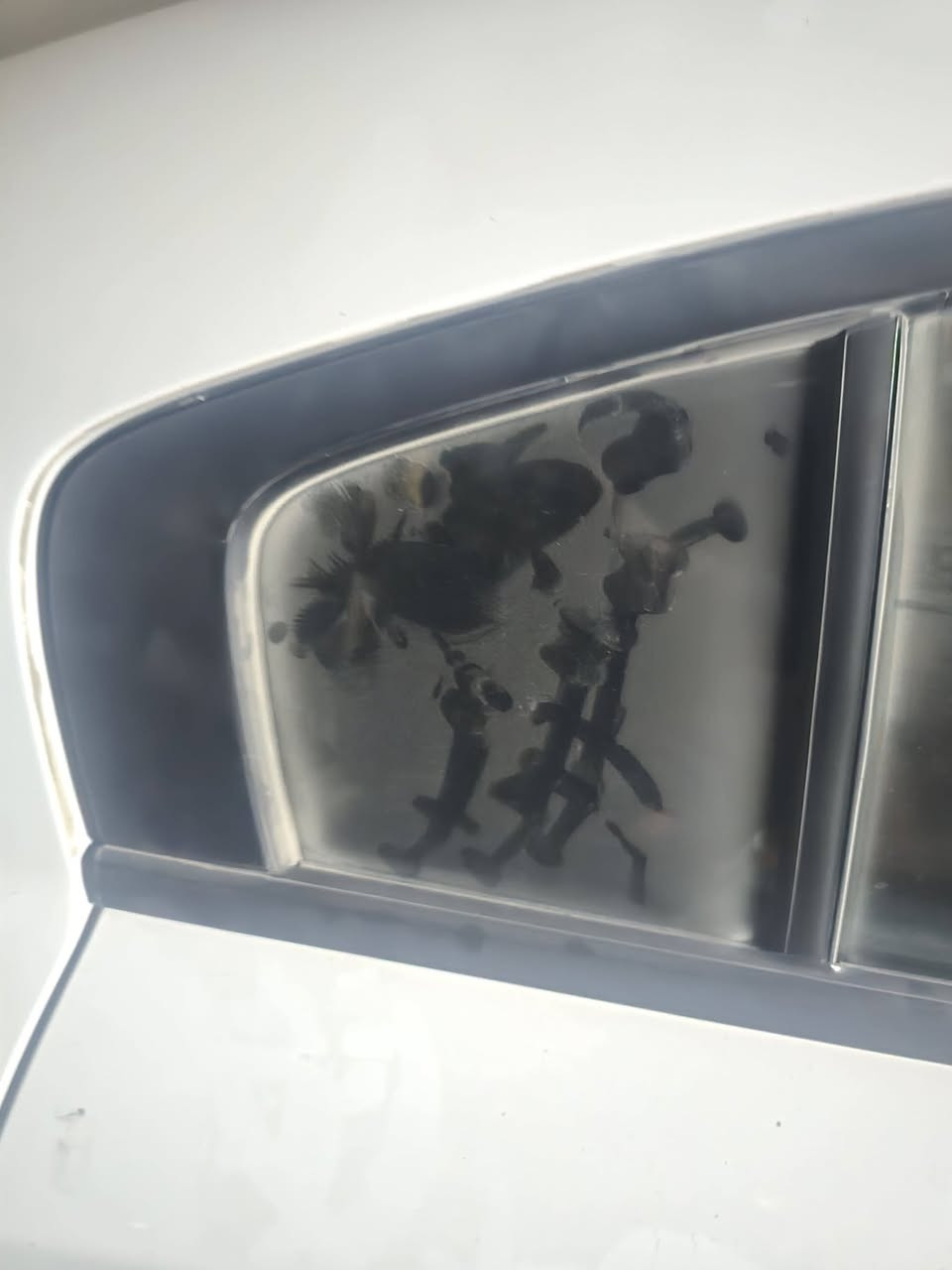 السلام عليكم
1_ بنيد مال جي تي تايون  ودعاميه تايون  سعرهن اثنينهن 350 الف 
2_ مروحه جارجر SRT  موديل ٢٢ سعرها 425 مع المجال 
3 _ دركه سترين كامله مع التحكم 60 
4_ ويل جارجر بوليسي موديل 2023  كامل طوس وستدات وتايرات وويلات كله اصلي سعره ٧٠٠ الف وبي مجال
5 _ هوك جارجر بوليسي السعر 275 الف
6_ جام مثلثات خلفي سعر الوحده 20 الف

العنوان النجف ***********
