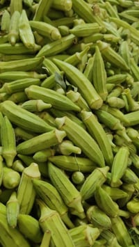خوش بنات • ناعمات • خاص