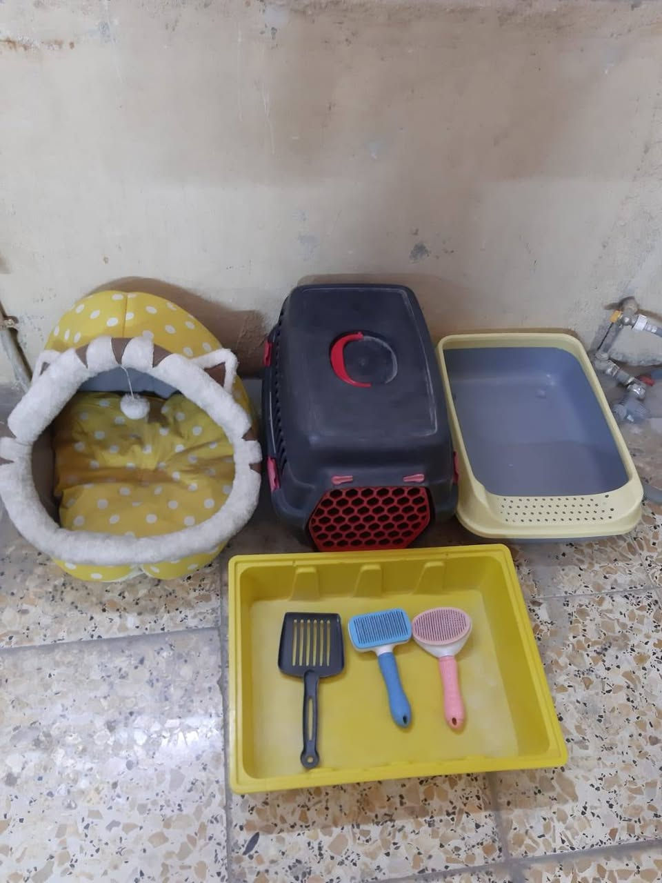 السلام عليكم
للبيع اغراض قطط نظيفات بعدهم
العنوان يم شارع حيفاا


**إذا كنت صاحب هذا الإعلان وتريد حذفه لأي سبب، رجاءا أرسل رسالة إلى الدعم الفني**