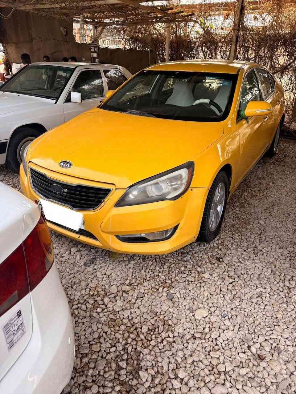 عرض خاص و البيع اقساط مع تخفيض كبير بالمقدمة
و العرض لفترة محدودة 

... كيا كادنزا صفرة ... والبيع اقساط    ... 

 

 للمزيد من التفاصيل 
اكتب تعليق ممكن تفاصيل الكادنزا الصفرة
  و نجاوبك بكل التفاصيل خاص و تدلل

و اذا تحبون   هذة الارقام للتواصل واتساب (  رسائل فقط  )  .....مع التقدير .      ((  ***********  )) ((  *********** ))     فاذا كنت مهتم بالتفاصيل  دز مسج واتساب بصورة او اسم السيارة  على الرقم    و نجاوبك بكل تفاصيلها و تدلل    

للاتصال الهاتفي الرجاء الاتصال يكون وقت الدوام فقط  ( *********** )   
وهذا رقم المعرض 👆👆

و رقم وسام الكربلائي ( *********** )  

الرجاءً الاتصال يكون اوقات الدوام فقط
