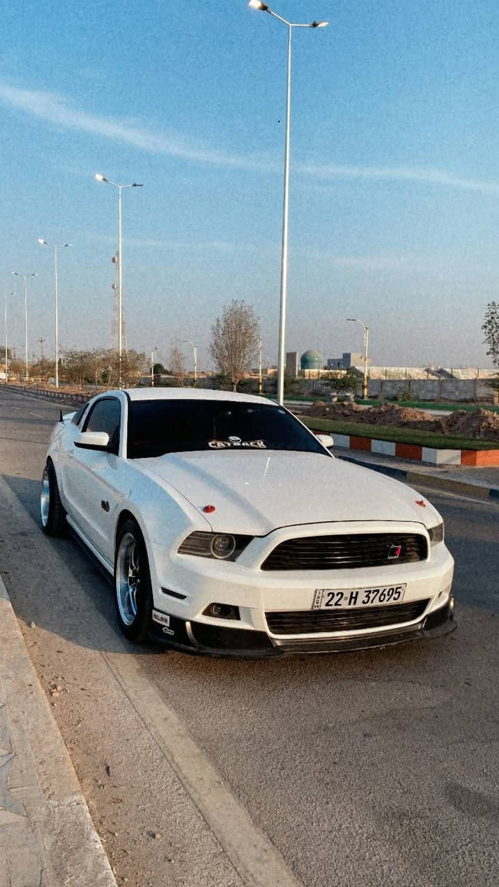 اللهم صل على محمد وآل محمد 🤍✨
للبيع موستنك 2013 للون ابيض رقم اربيل الدولي سنوية 29 وكاله او تحويل 
من انظف الموستنكات بموديلها 
رايدها ب133 $ وبيها مجال 
كلشي موجود بالسوك شباب ولاتقارنوها بالمهجومات ابد تفيدك خابرني وتشلع عيوني ♥️
مكينه 3700  v6 
ستوك ع وضع الشركة 
مكينه گير حداده لغد شاصي دواخل (إرباگات) مكفول   
بيها جاملغ امامي جهة السايق صبغ وحافة البنيد شبر فقطط والباقي كله مكفول 
كهربائيات كلهن سليمات شرط وتبريد ثلج صلوات 
كامرة خلفية بلادي 
الاضافات شوتة jlt 
شباك فوك وجوى روش 
سكوبات جام جانبية
دفيوزر 
سبويلر شيلبي
سكوب جامه خلفية 
لحية rtr 
قاعدة رقم خلفيه rtr 
مسطرة خلفية rtr
دوسات جانبية وخلفيه rtr
حلوك صالنصة
داخل تغليف فورجت اصلي 
كشنات امامي وخلفي جلد اسود جديدات مال كصة( كشن السايق كهرباء )  
داخل كله بريميوم (عينة ومثبت اكواب وبيبان ودوسات ) 
منضومة زينون عالي ناصي كلش قويه 
عين الشيطان متغير ع المبايل 
سيارة ماشية 134
تخم تاير جديد 
باتري جديد 
للستفساير اكثر *********** 
مكان السيارة مركز البصرة
