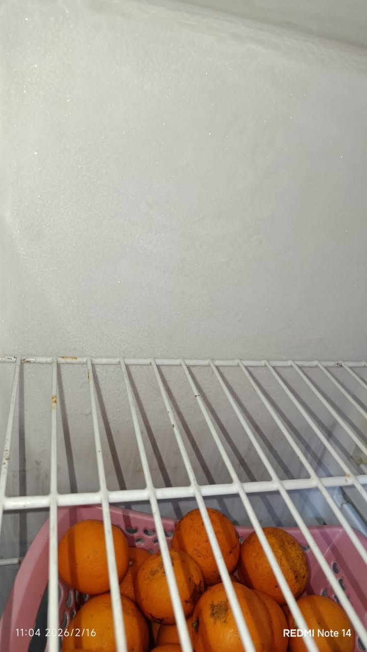 ثلاجة كيلون 12 قدم
شغالة تجميد فوك وجوة 
للاستفسار عن السعر خاص 

مكاني الحسينيه راشدية


**إذا كنت صاحب هذا الإعلان وتريد حذفه لأي سبب، رجاءا أرسل رسالة إلى الدعم الفني**