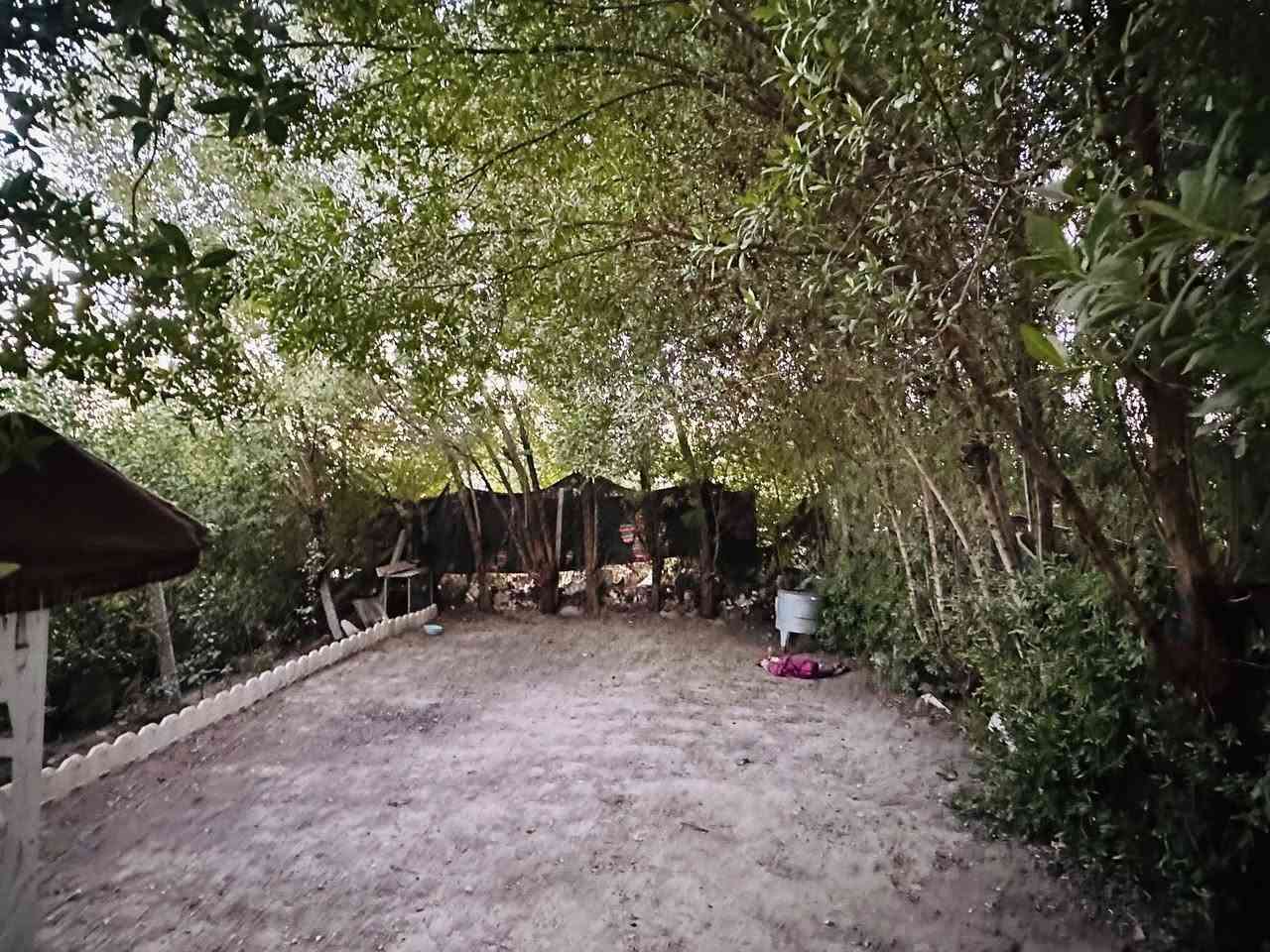 🏡 دار ركن للبيع – موقع مميز 🏡

📐 المساحة: 75 متر
📍 المنطقة: الـ 29
📌 ركن على ساحة وشارع 15 متر
🏗️ طابقين
🛏️ غرفتا نوم
خارطه مميزه كونكريت مسلح

✔️ موقع مفتوح ومميز
✔️ إضاءة وتهوية ممتازة
✔️ مناسب للسكن ومميز

📞 للاستفسار:
***********
📱 واتساب متوفر
او مراجعة مكتبنا حي السلام خلف مدينة الالعاب
