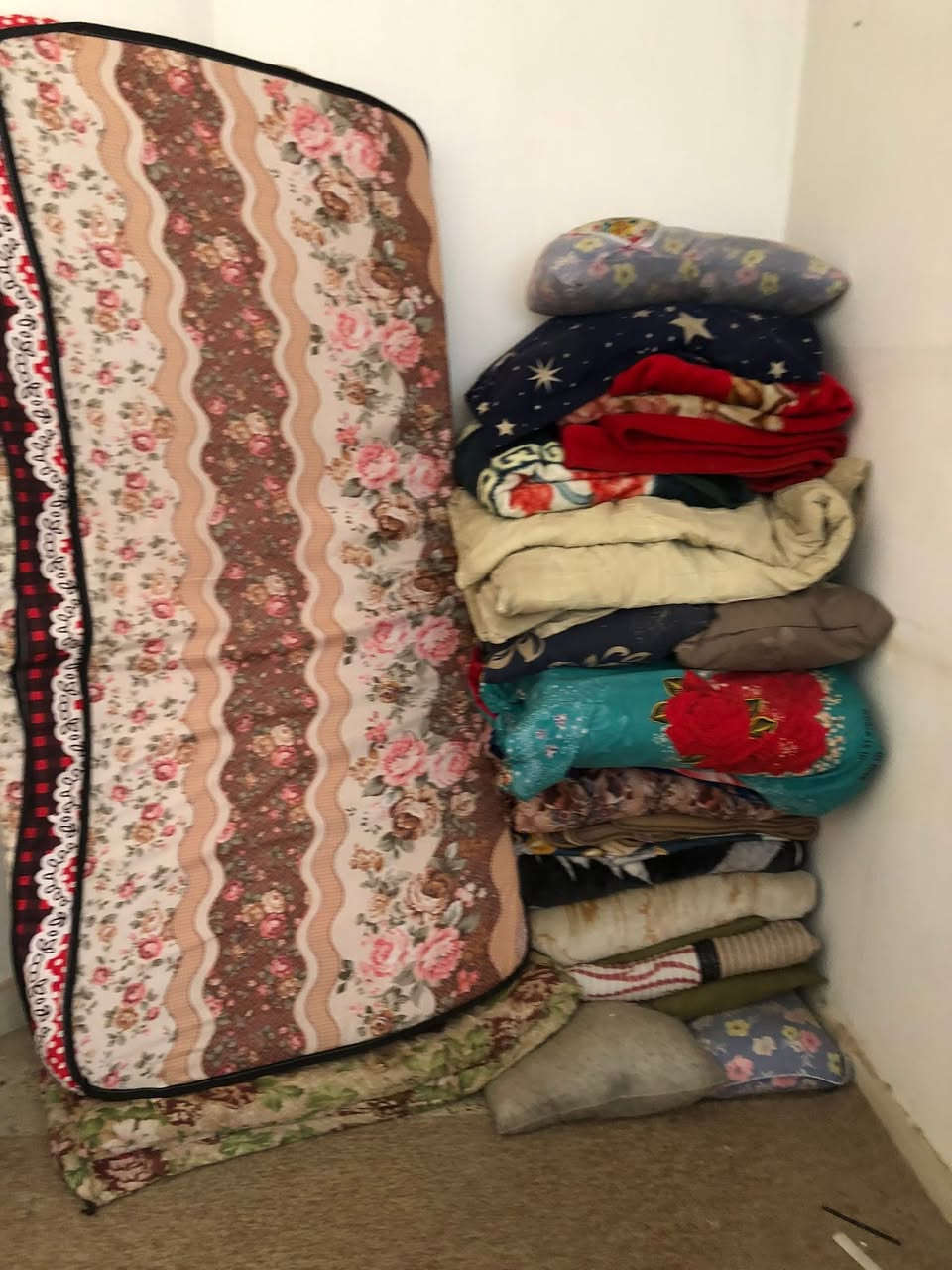 اغراض للبيع
بغداد الكرخ


**إذا كنت صاحب هذا الإعلان وتريد حذفه لأي سبب، رجاءا أرسل رسالة إلى الدعم الفني**