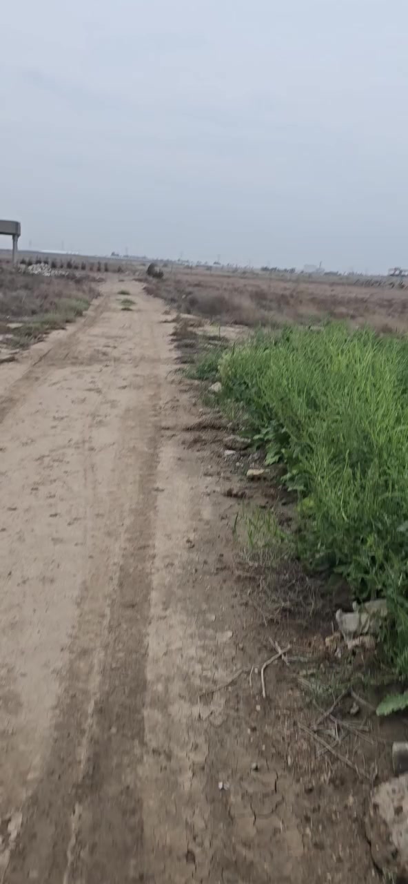 السلام عليكم
بيت مساحته اكثر من 200 متر كامل وبناء حديث ومرتب
ابيع مساحه جوا حسب الطلب من نص دونم ل10 دوانم سند 25
تحويل في طابو المحموديه الموقع صخريجه /ناحية الرشيد
سعر البيت ويا دونم 150 وقابل للتفاوض 
***********
***********
