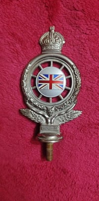 برطاني ابتر للبيع 07767235451