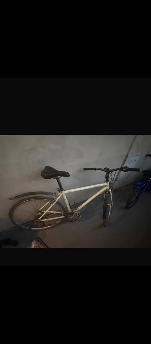 جربايه مستعجل بيعته 30باسكل 50بيه مجال


**إذا كنت صاحب هذا الإعلان وتريد حذفه لأي سبب، رجاءا أرسل رسالة إلى الدعم الفني**