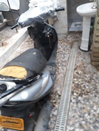 ثعلب • سلف هندل • باطري جديد