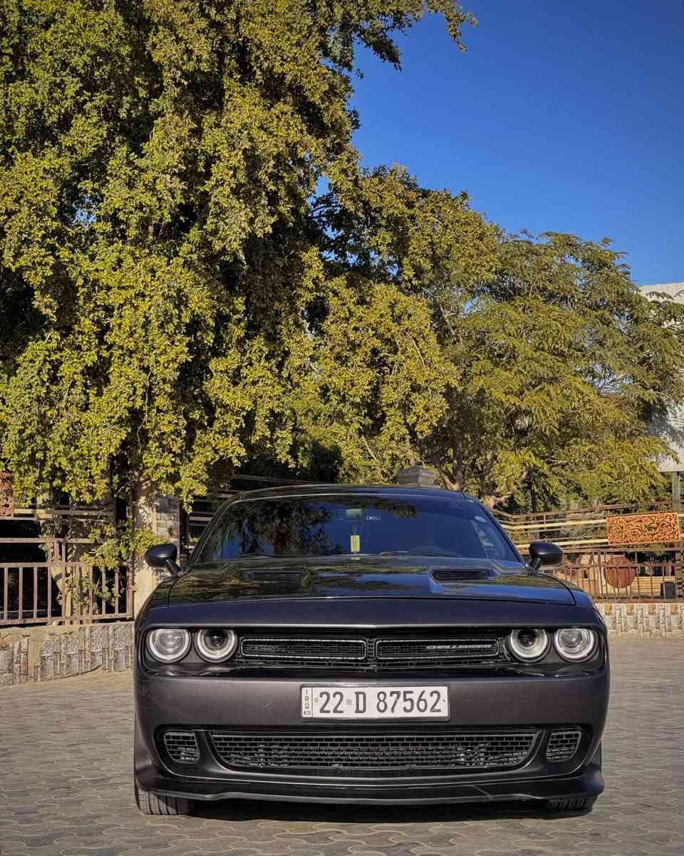 للبيع Dodge Challenger 2021 SXT
السيارة جناي واحد (مرقمة)
 مواصفات SXT معروفة
 داخلية جلد أحمر SRT
تايرات جديدة
 صدر جديد
 لايتات LED
برمجة 
 السيارة ما ناقصها أي شيء

🔴 بدون إيرباك (ايرباكات كلها وكالة )
🔴 بجم كبس 
حادث ربع جاملغ خلفي عكس السايق — راجع وكالة
خشم الجاملغ الأمامي مبدل
الجاملغ البلادي موجود تاخذة ويا السيارة السعر: 205$
 للتواصل:
***********
واتساب او اتصال فقط
