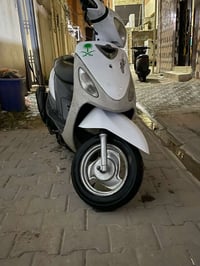 ماكس منغولي • ابيض • ٢٠٠٨