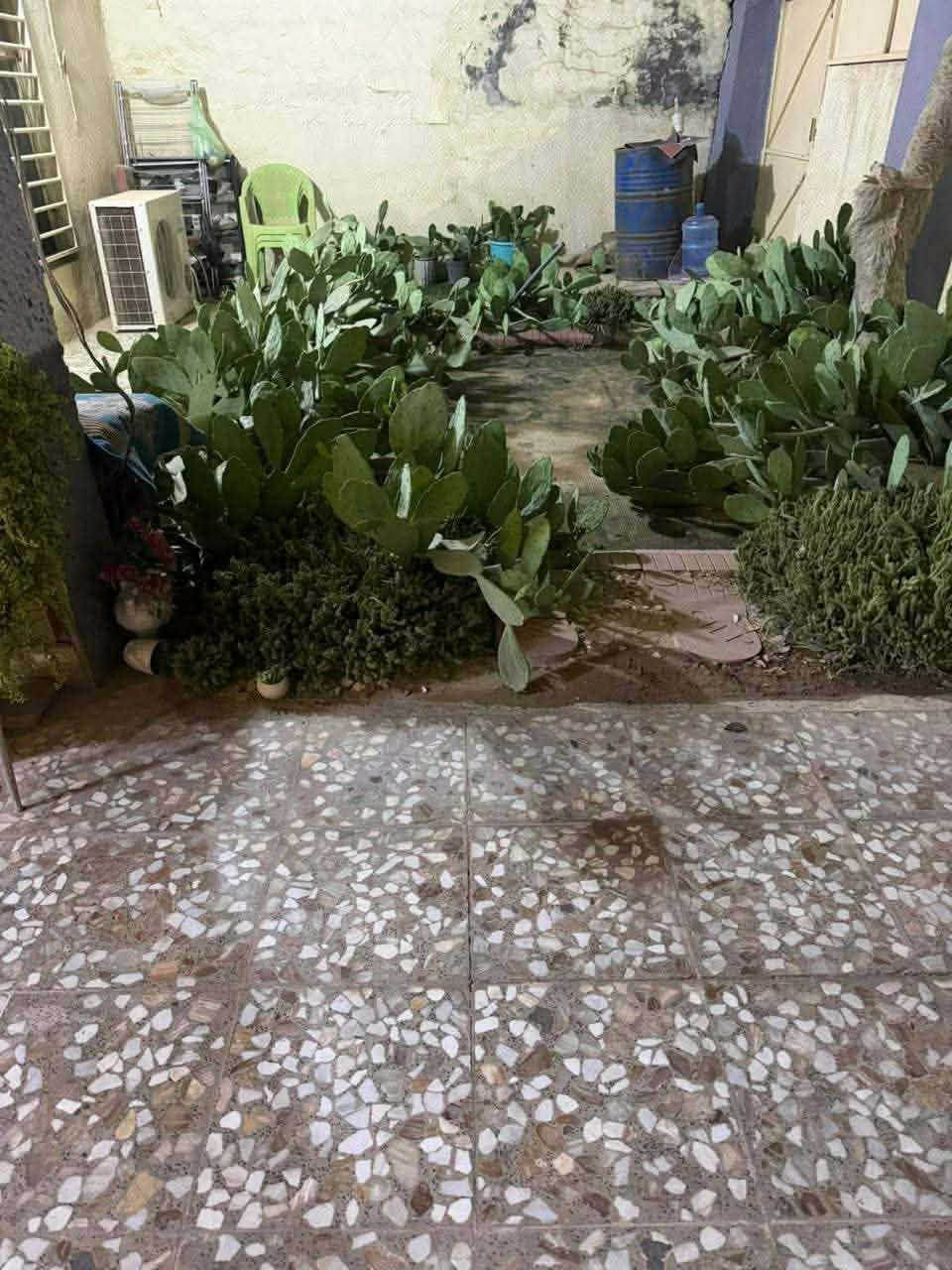 بـــسم اللَّه
السلام عليكم ورحمة الله 

#دار للبيع 

الموقع حي الإمام علي (ع) شارع الكابينات

طابو صرف المساحة ٢٣٠ متر

الواجهة ١١ النزال ٢١ متر

الشارع عرضه ١٥ متر

يحتوي الدار على طابقين 

الطابق الأول ( صالة كبيرة + مطبخ +غرفتين+ مجمع صحيات 

الطابق الثاني أيضا غرفتين وهول 

البيت كله بي ٤ غرف 

للأستفسار أكثر الإتصال على الأرقام التالية ويوجد فيها واتساب أيضا

‪***********‬‏

***********
