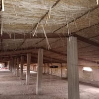 شيش • اوركاني • بابل بل كفل