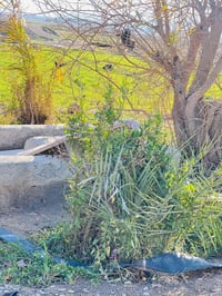 أخصائية نسائية • استشاري باطنية • المجمع الزاب الطبي