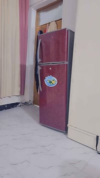 دنكا • استعمال قليل • النجف