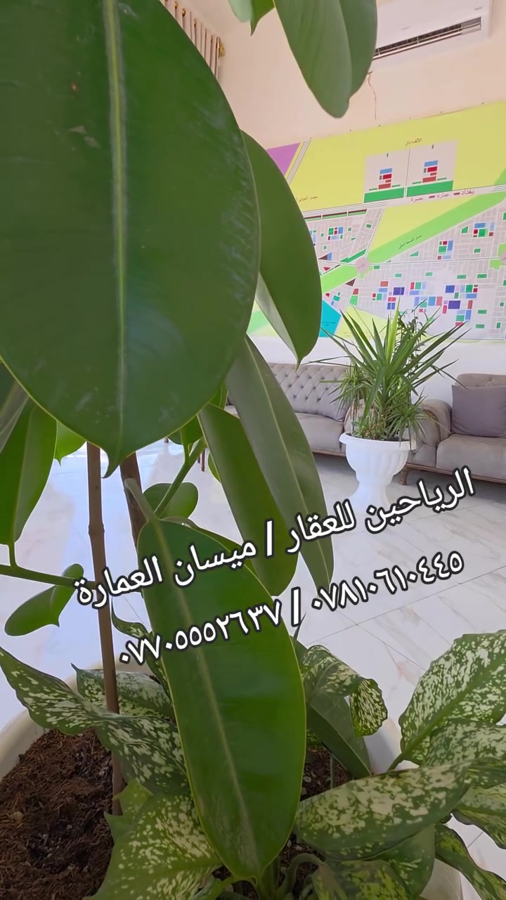 اللهم صلِ على محمد وآل محمد
قطعة للبيع طابو صرف جاهزة للتحويل 

( ٣٥٠ متر #ركن) مقاطعة ٢  / كفالة مكتب

رقم العقار ٧٧٥٥/٢  شارع ٢٠ / توزيع الحشد

السعر ( ٩٥ مليون )  قابل للتفاوض

#ملاحظة: المكتب مجاز من قبل الدولة .

رقم الإجازة (  ٢١٠٤٤  ) 

أستاذ أحمد  :  *********** / ***********

عنوانا : ميسان/ العمارة / طريق الحولي العام
