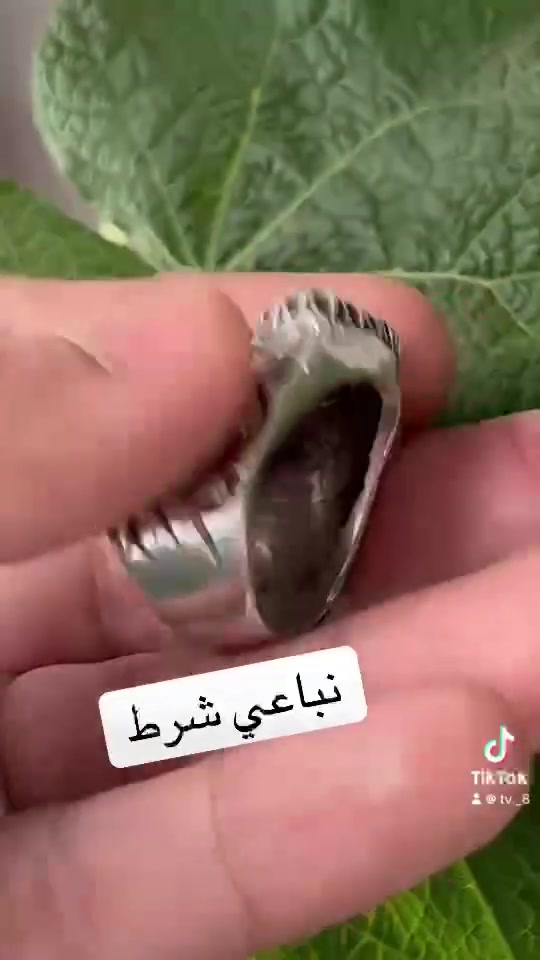 بي ثلاث حاجات وكلهن ثقيلات شسوه من بعد ٥٠٠ الف


**إذا كنت صاحب هذا الإعلان وتريد حذفه لأي سبب، رجاءا أرسل رسالة إلى الدعم الفني**