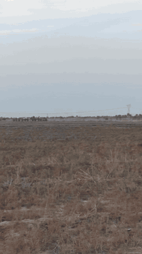 للبيع ارض زراعيه ثلاث دوانم في خان بني سعد على حولي بغداد بعقوبة ماء ا...