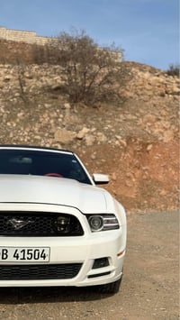 موستانگ • ٢٠١٣ • أربيل