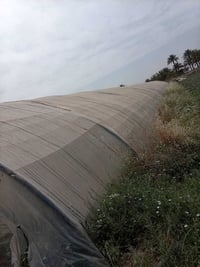 بيوت بلاستيكية • لبناني • عدد ٢