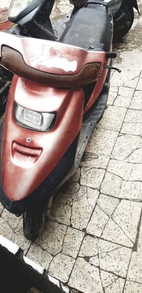 دراجة فراشة • سلف • أوراق كاملة