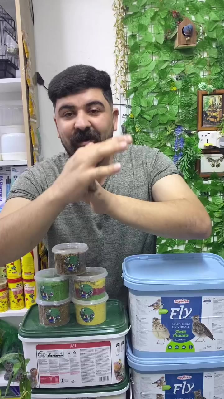 من شركة Fly للمكملات الغذائه
باقي التفاصيل داخل الفيديو


**إذا كنت صاحب هذا الإعلان وتريد حذفه لأي سبب، رجاءا أرسل رسالة إلى الدعم الفني**