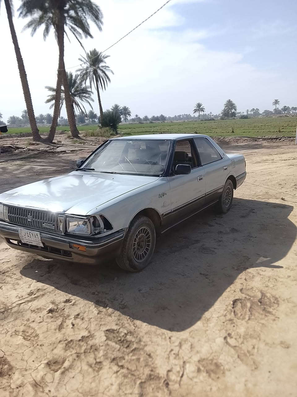 السلام عليكم سوبر هارتوب موديل 89مكينه وكير كفاله ونجي ناعم تخم تاير ويل بلادي رقم انبار الماني تحويل ثاني يوم حداديه نص عمر كهربائيات كلهه شغاله عوزهه جامه لايت وسكنات اماميه والباقي كفاله مصبوغة عام جماليه مكان بابل كفل ***********
