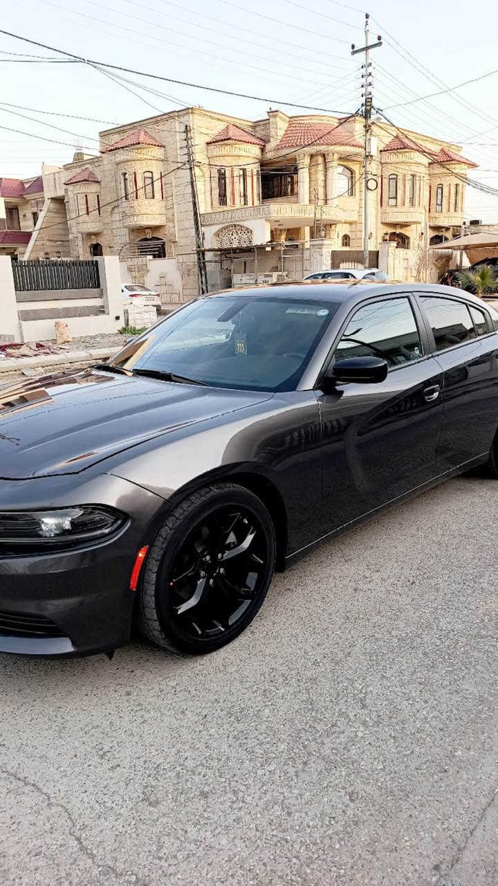 سياره كه دوو بارجه هه يه بونيت جاملغي لاي سه كن 
سياره كه بي ئيرباك بي شانصي 
هه موو ئيرباكه كاني سه ليمه هه تا ئيرباكي به رده ش سه ليمه 
سياره فحص و هه سه ي جائيزه ديناري مصروفي تيدا نيه سي مانك له كه ل بو ره قه م كردن ١٠روزه ره قه مي شكاوه أربيل, العراق


**إذا كنت صاحب هذا الإعلان وتريد حذفه لأي سبب، رجاءا أرسل رسالة إلى الدعم الفني**