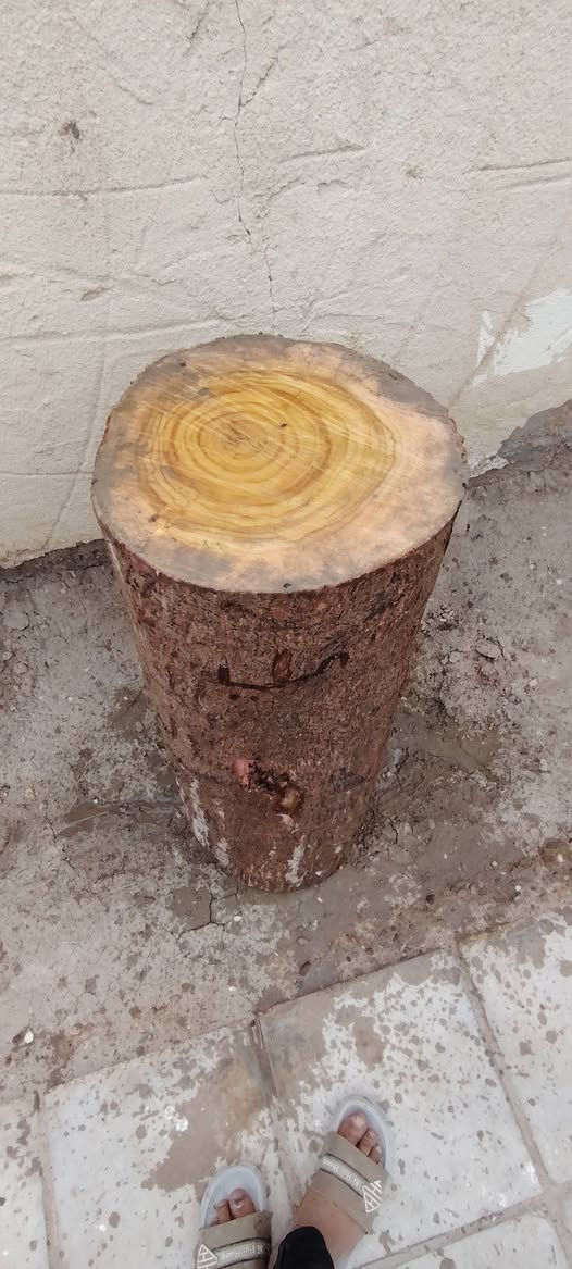 السلام خشبه كصابه للبيع مرتبه قيم بليرضي بي لله واخذ المكان ناحيه القادسيه ***********
