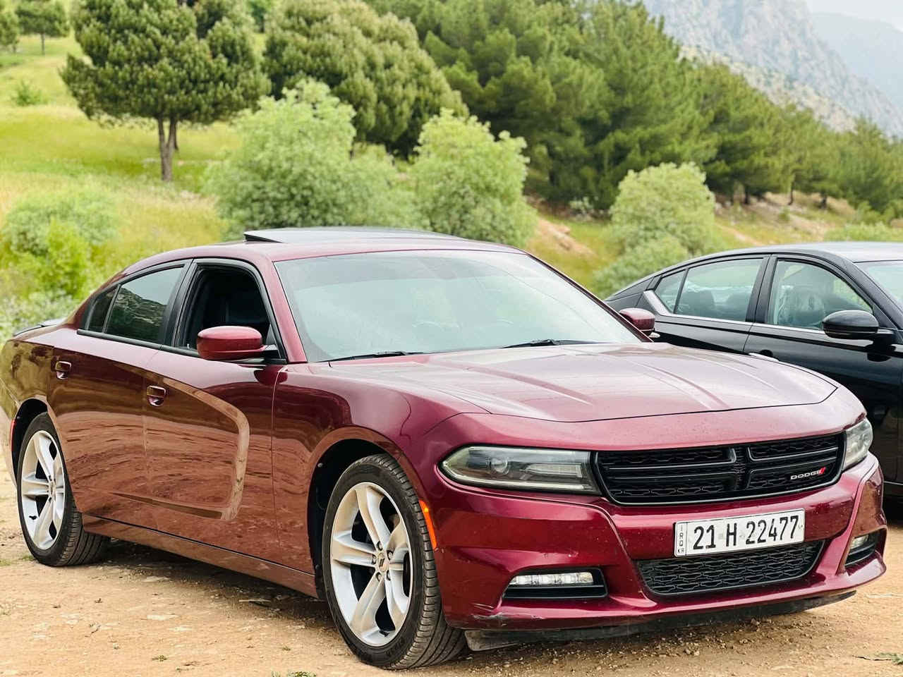 مكلفه بالنشر
جارجر 2017 SXT plas كندي (كلين)

بيع او مراوس

فول مواصفات 

رقم سليمانية بسمي 

ماشية 100الف 

سيارة كلش جديدة ونظيفة

استخدام شخصي 

محرك 3600

فتحة

بصمتين وياه

تشغيل عن بعد

 رادارات

مري قلاب 

كشنات جلد 

تدفئة تبريد كشنات الامامية والخلفية

كشنات كهرباء 

سستم صوت الباين

تو ويل

ويل حجم 20 

تخم تايم جديد

شاشة جبيرة

سنوية وهزة جدد

سيارة جاهزة وخير من الله وكلة على وضع الشركة
اي استفسار ***********...***********

(ملاحظه اني مندوبه لترويج سيارات اي احد عنده سياره للبيع يتفضل خاص 🌷
