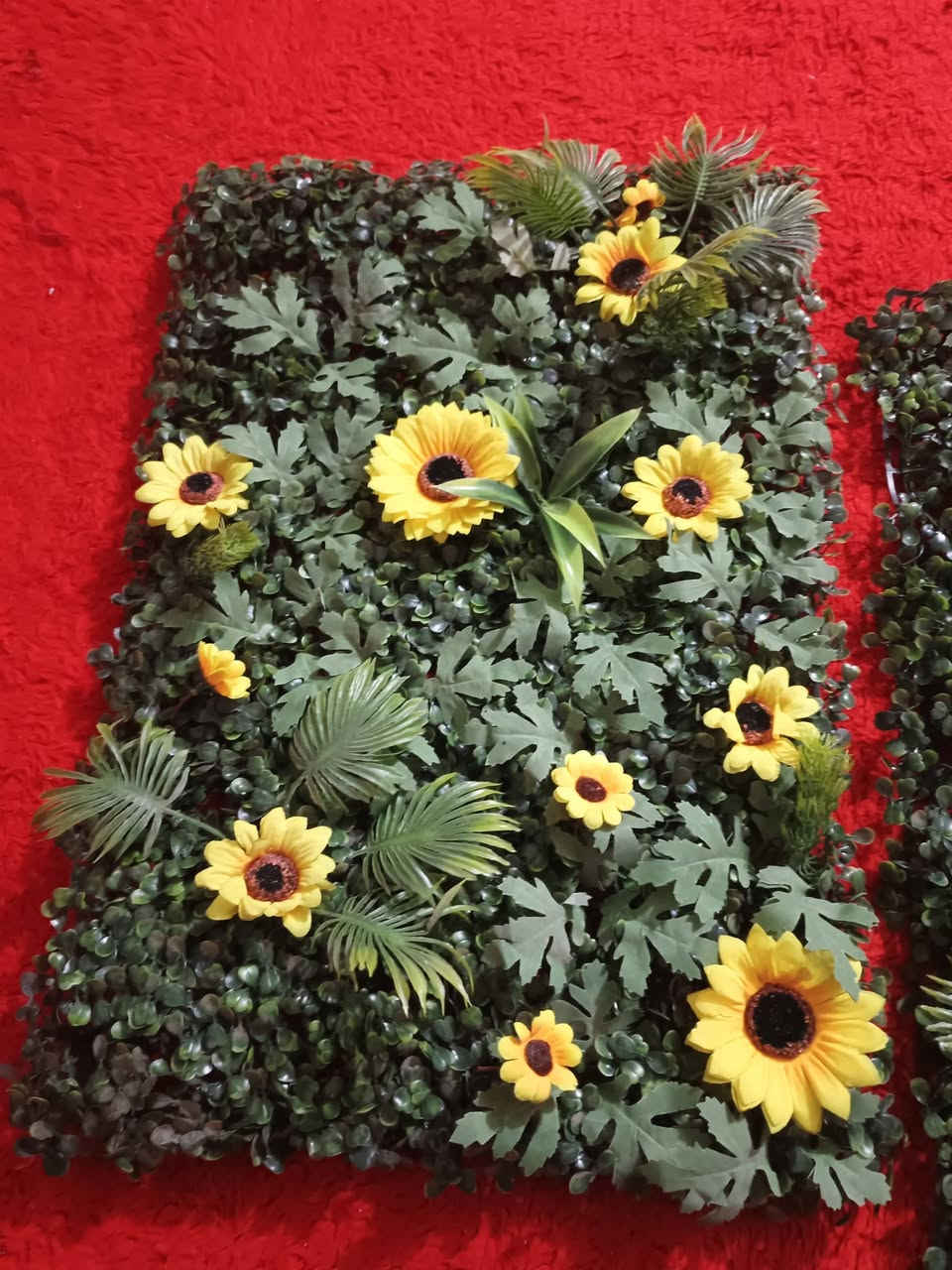 زرع صطناعي الاسعار مناسبه يوجدتوصيل


**إذا كنت صاحب هذا الإعلان وتريد حذفه لأي سبب، رجاءا أرسل رسالة إلى الدعم الفني**