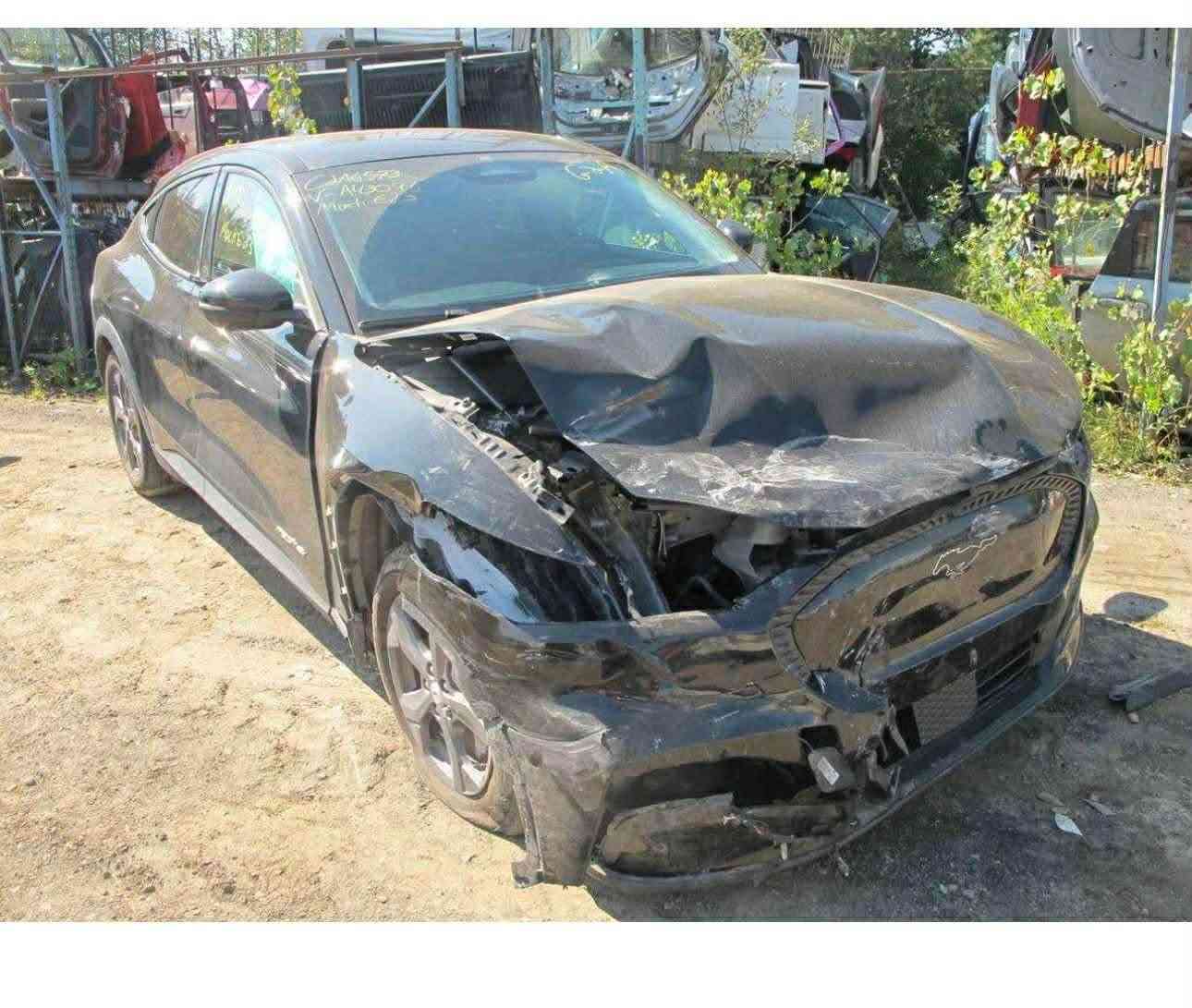 فورد ‏موستينج  2023  كهرباء كامل  
لون اسود 
قاطعه مسافة 23 الف
بطارية ليثيوم 
‏تمشي بالشحنة من 400 الى 450 كيلو 

‏
‏الإضافات  :
‏• دفع رباعي 
‏• شاحن لاسلكي Wireless Charger
‏• شاشة لمس بحجم 15.5 بوصة
‏• نظام كاميرا الرؤية المحيطية لركن السيارة 360 درجة 4 كاميرات
‏• مقاعد كهرباء - مدفأة 
‏• بصمة تشغيل
‏• حساسات ركن أمامية وخلفية
‏• مانع انزلاق
‏• مثبت سرعة Cruise Control
‏• أضوية زينون 
‏• مصابيح LED أمامية وخفلية
‏• اشارات عالمري الجانبيه مع النقطه العمياء
‏• تحكم ستيرن جهتين مع قيادة ذاتيه 
‏• مري طوي كهرباء
‏• نظام ملاحة - Navigation
‏• هاند بريك كهرباء
‏• اضاءة ليد داخلية Ambient lighting
‏• 8 وسائد هوائية Airbags
‏والعديد من الاضافات
السعر 165 ورقه 
تبديل بنيد نفس اللون وصبغ جاملغ امامي يمين
  ( السيارة للبيع فقط بدون مراوس ) 

للاستفسار الاتصال : 

‭+964 788 477 7090‬


**إذا كنت صاحب هذا الإعلان وتريد حذفه لأي سبب، رجاءا أرسل رسالة إلى الدعم الفني**