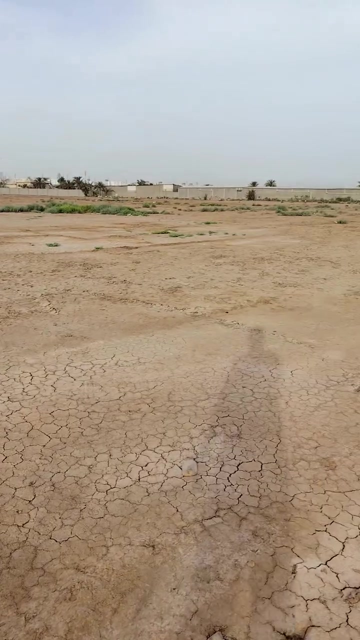 سلام عليكم للاستفسار ***********وتساب
