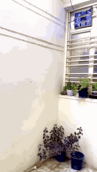 بيت للبيع
بيت للبيع مساحته ١١٥م طابو زرعي سند ٢٥ ركن يتكون من طابقين الأول استقبال واسع مع حولي ع مساحه البيت ومطبخ نظام أمريكي مفتوح وغرفه نوم وخدمات مساحتها واسعه وترك خلفي اما الطابق الثاني يتكون من غرفه نوم نظام سويت مع سطحين مساحتها كلش واسعه السهر ٩٥وبي مجال العنوان السريدات القديمه بدايه المربع الثالث الاتصال ع الرقم ***********
