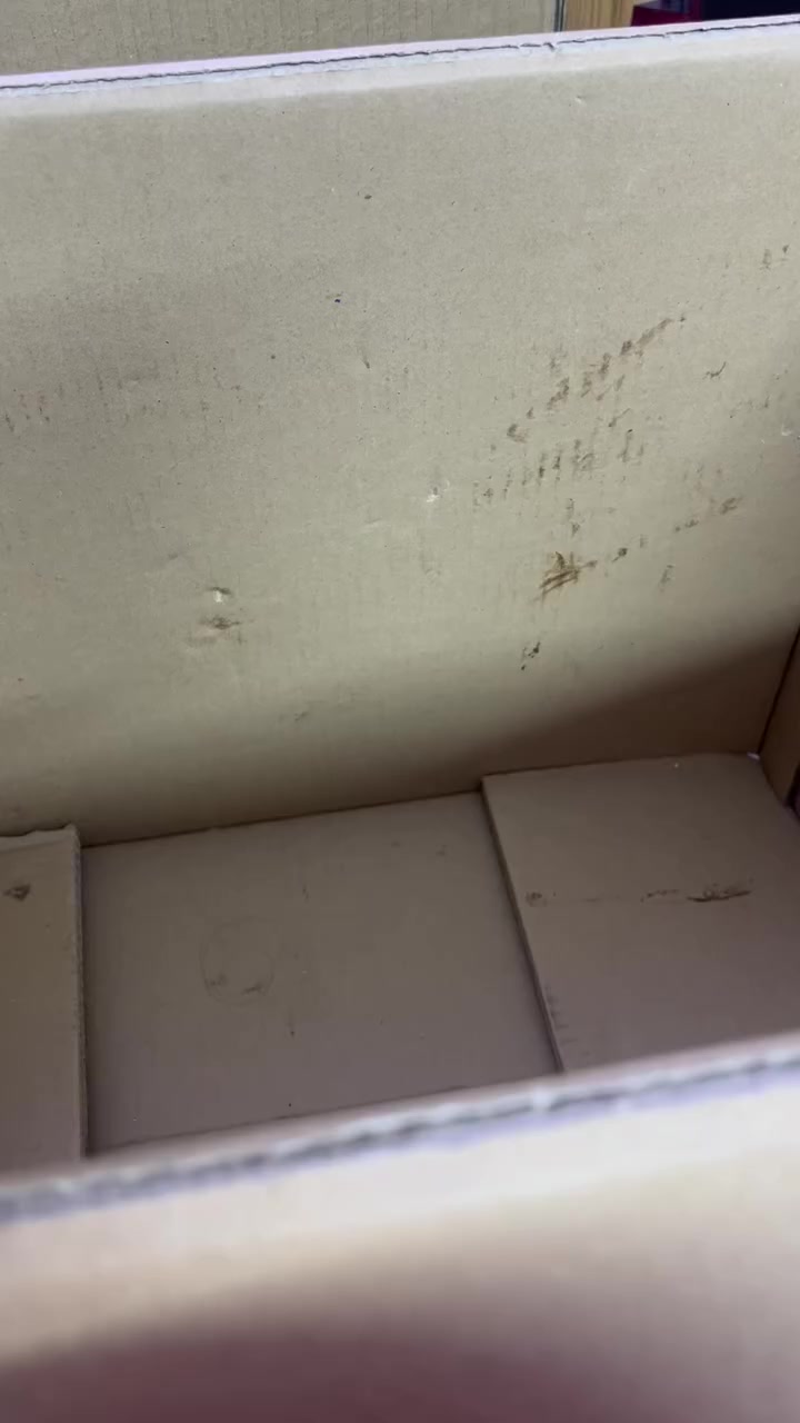 شلعه رقم واحد سعر ١٥ توصيل مجاني


**إذا كنت صاحب هذا الإعلان وتريد حذفه لأي سبب، رجاءا أرسل رسالة إلى الدعم الفني**