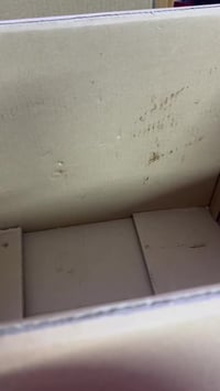 شلعه • رقم واحد • توصيل مجاني