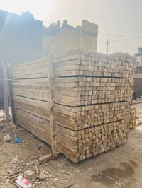 سير • ٣م×٢٨٠ • الحلة