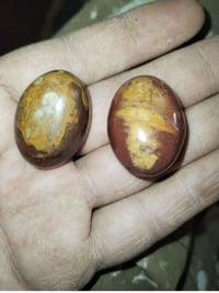 للبيع داوديات 07809619778