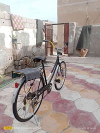 بايسكل • موديل 14 • للبيع