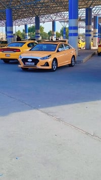 سوناته ٢٠٢٣ • خط واحد • قاز