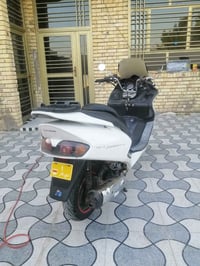 فورزه 0،6 • أوراق أصلية • ناصريه سوق الشيوخ